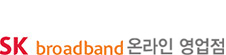 SK브로드밴드